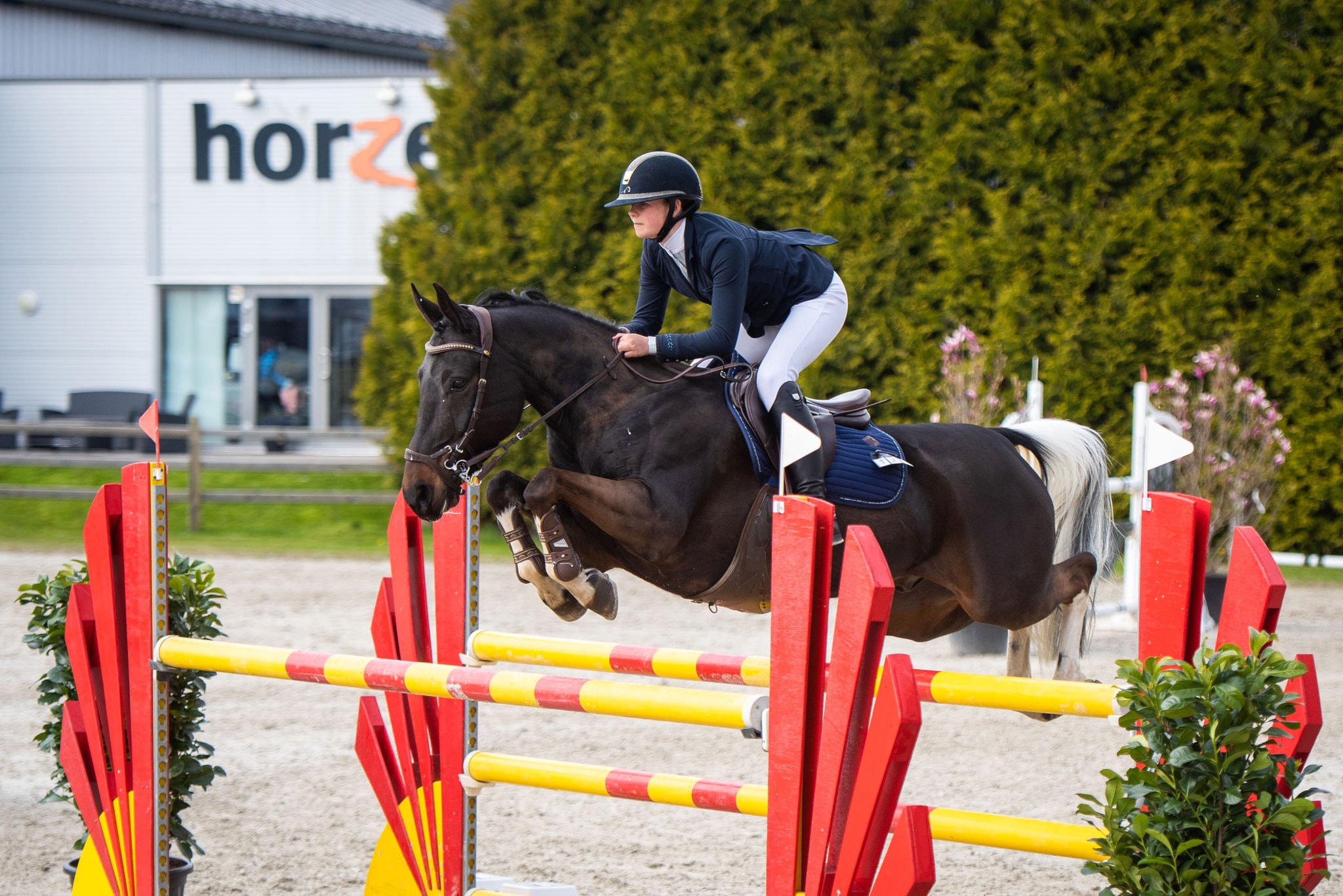 Nordisk Mesterskap sprang 2022